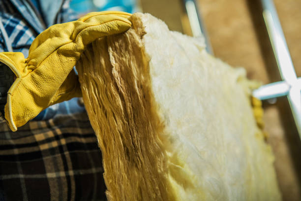 Insulation Contractors for Homes in Decatur, MS