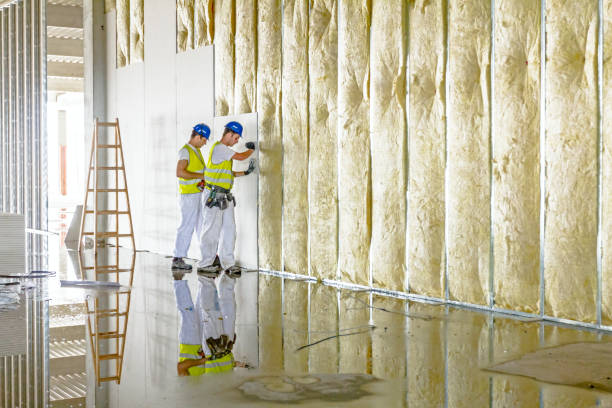 Best Insulation Removal Services  in Decatur, MS